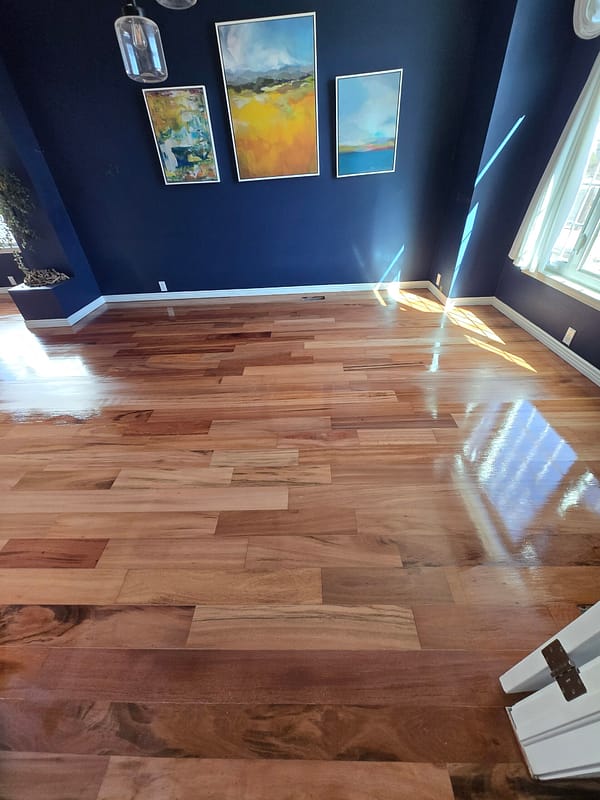 4" Tiger Wood with natural finish 1 Tiger Wood flooring with natural finish in a room with dark blue walls