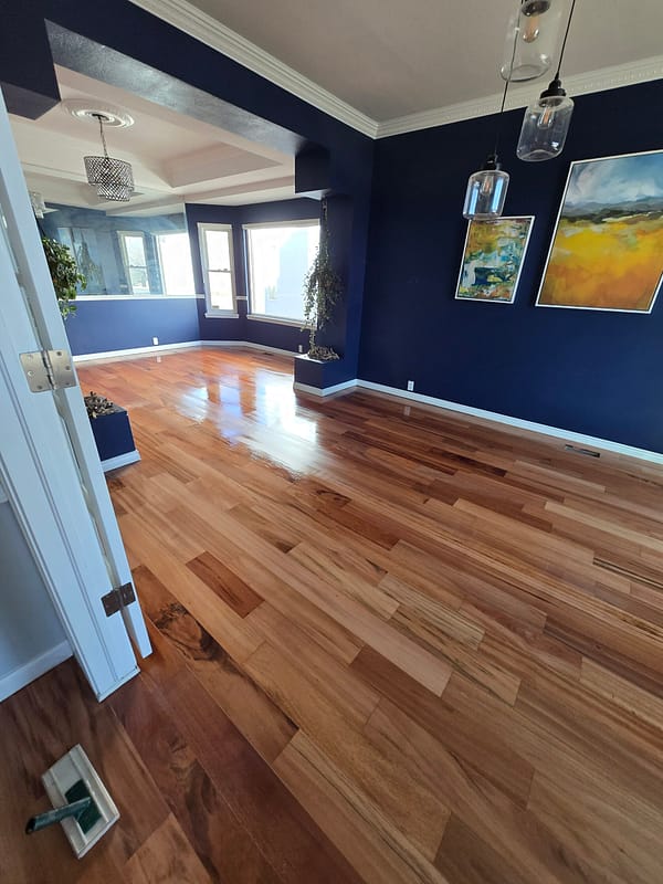 4" Tiger Wood with natural finish 2 Tiger Wood flooring with natural finish in a room with dark blue walls