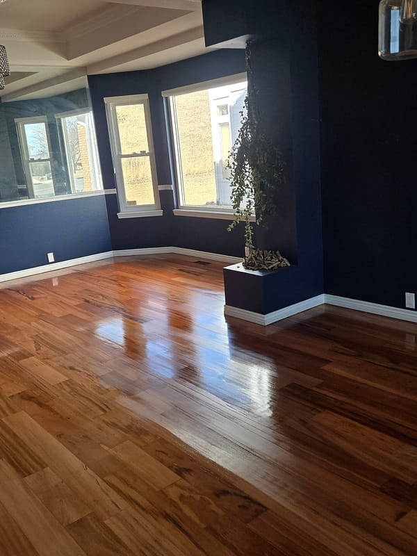4" Tiger Wood with natural finish 3 Tiger Wood flooring with natural finish in a room with dark blue walls
