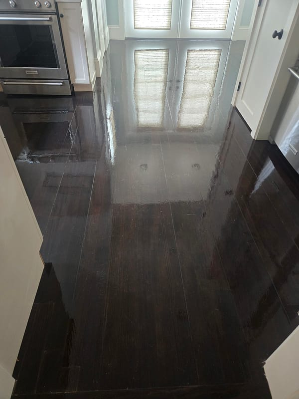 Maintenance Coat After Dark hardwood floors shine after maintenance coat application